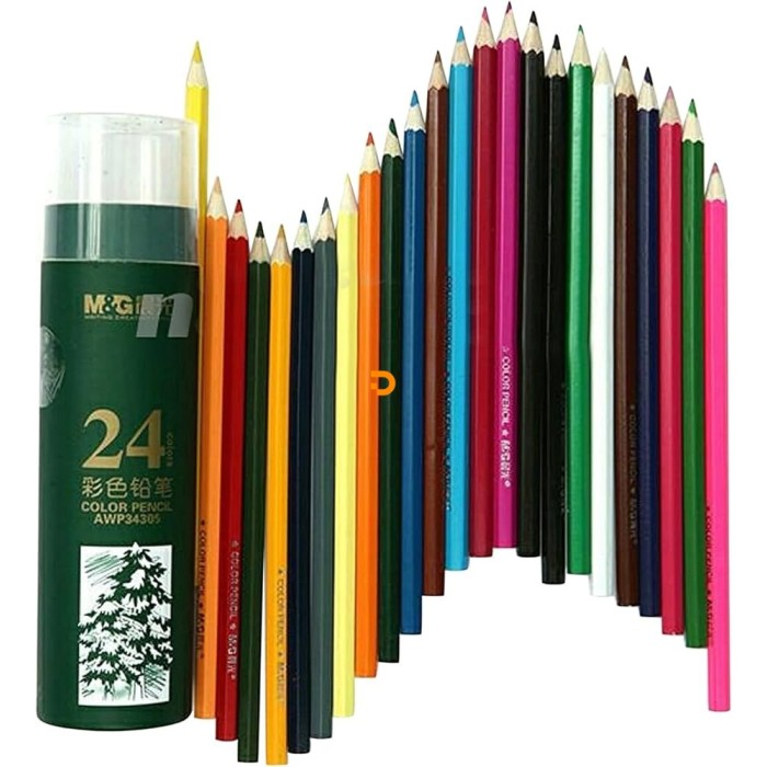 Lápis de cor 24 Cores