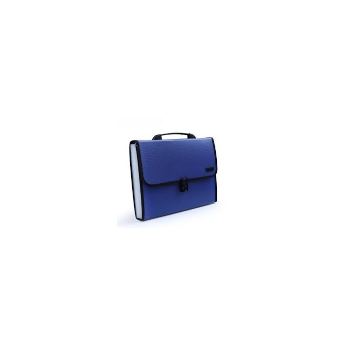 Pasta de Arquivo A4 12 Bolsos